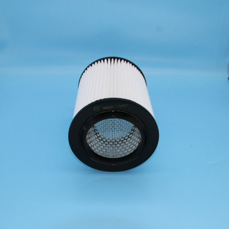 Air Filter-LW-223