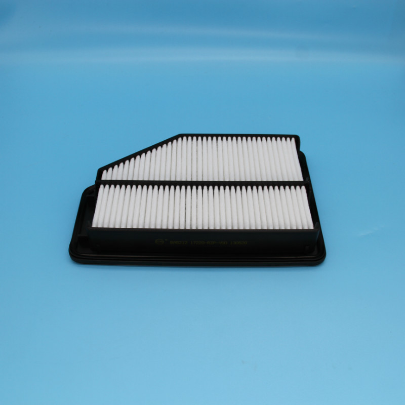 Air Filter-LW-243