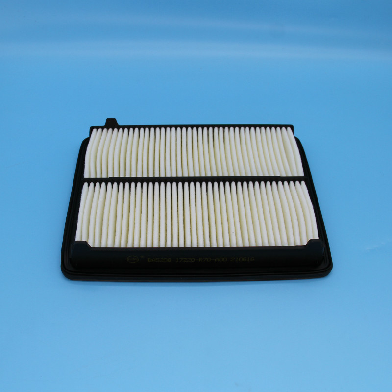 Air Filter-LW-256