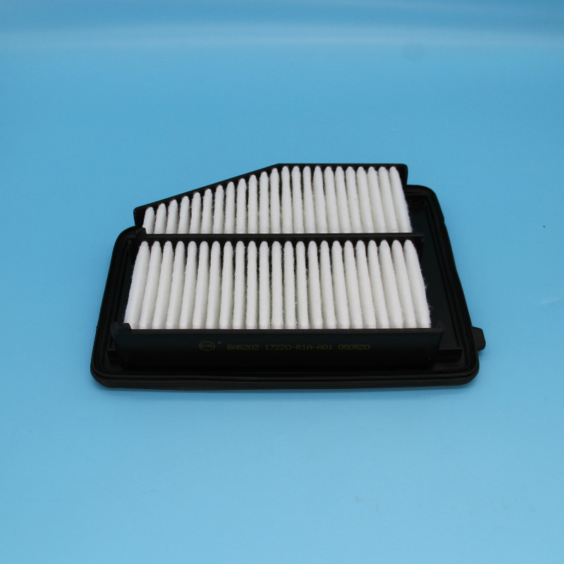 Air Filter-LW-267B