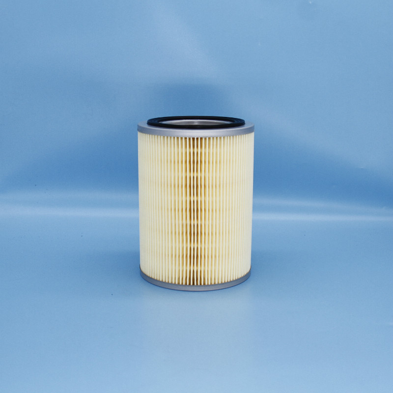 Air Filter-LW-313