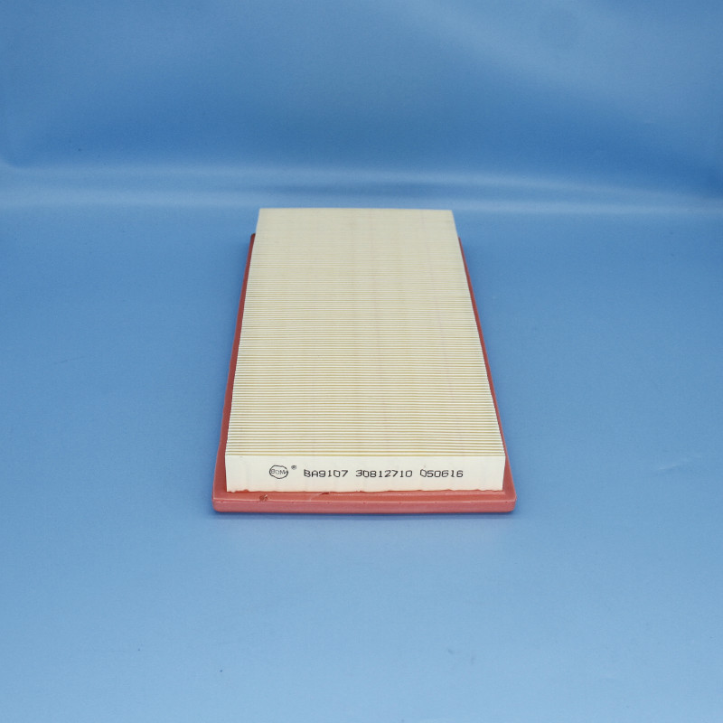 Air Filter-LW-1609